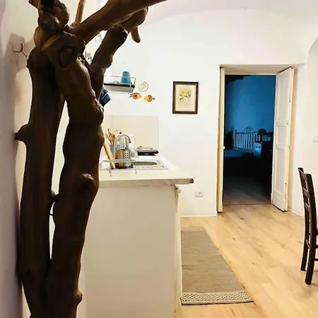 Chicchi's House Apartment *